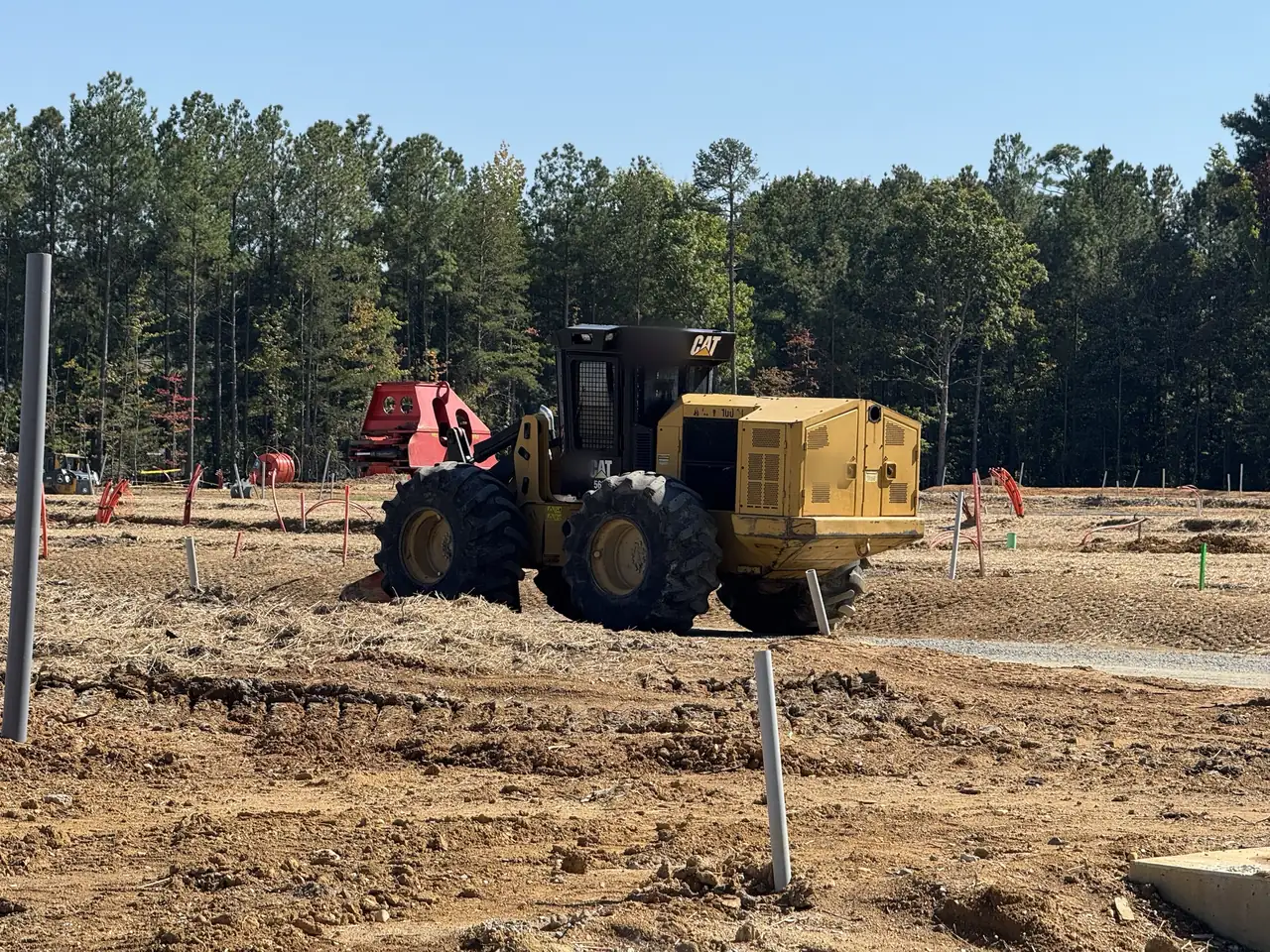 Wheeled feller buncher on a cleared site with pines behind